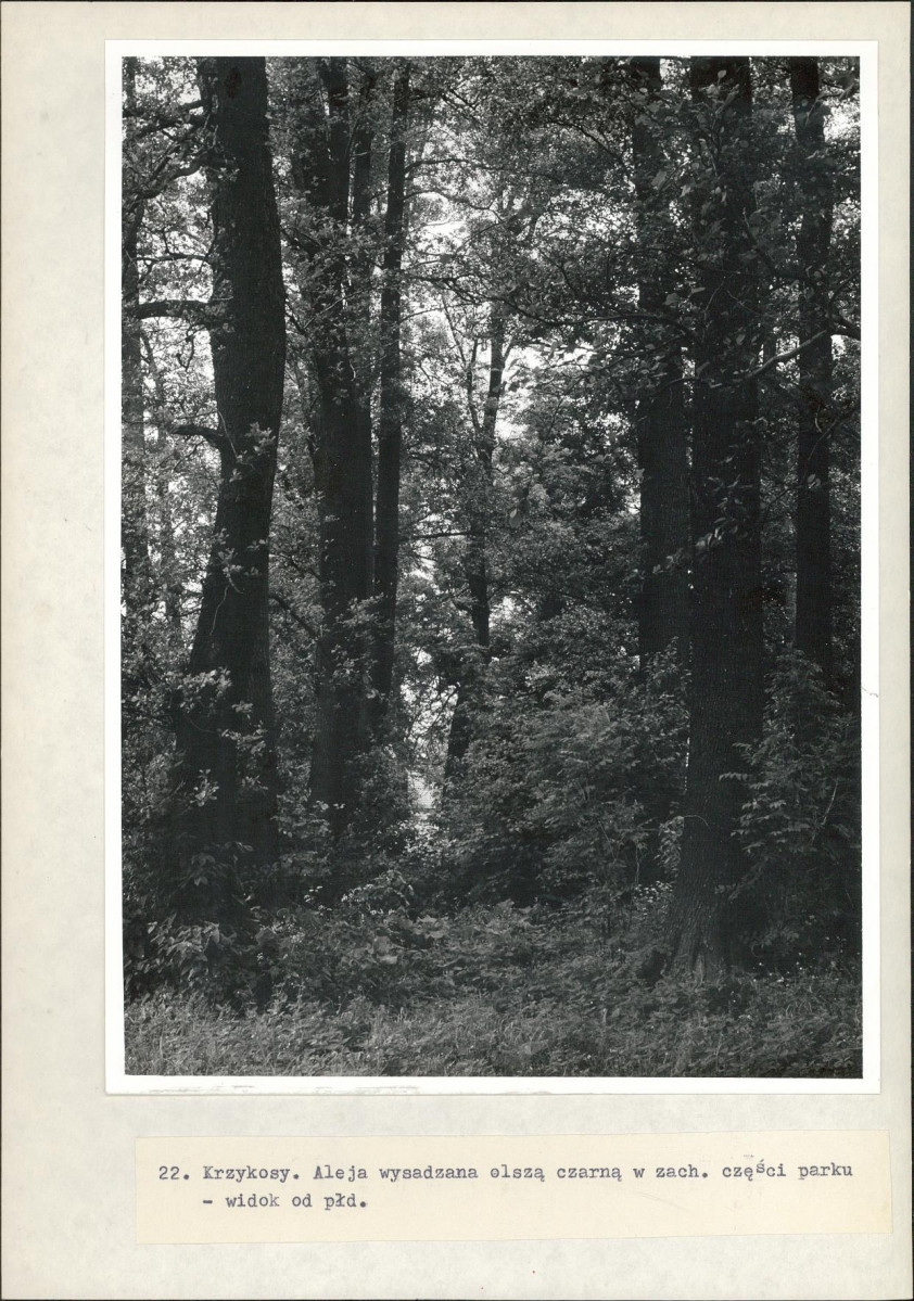 Ewidencja parkowa, skan nr 47