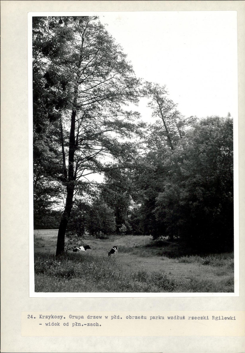 Ewidencja parkowa, skan nr 49