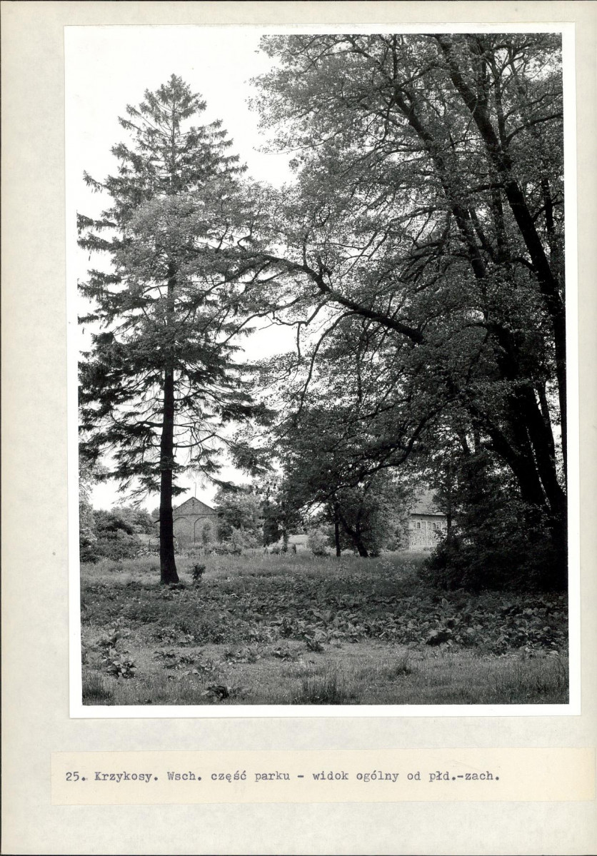 Ewidencja parkowa, skan nr 50