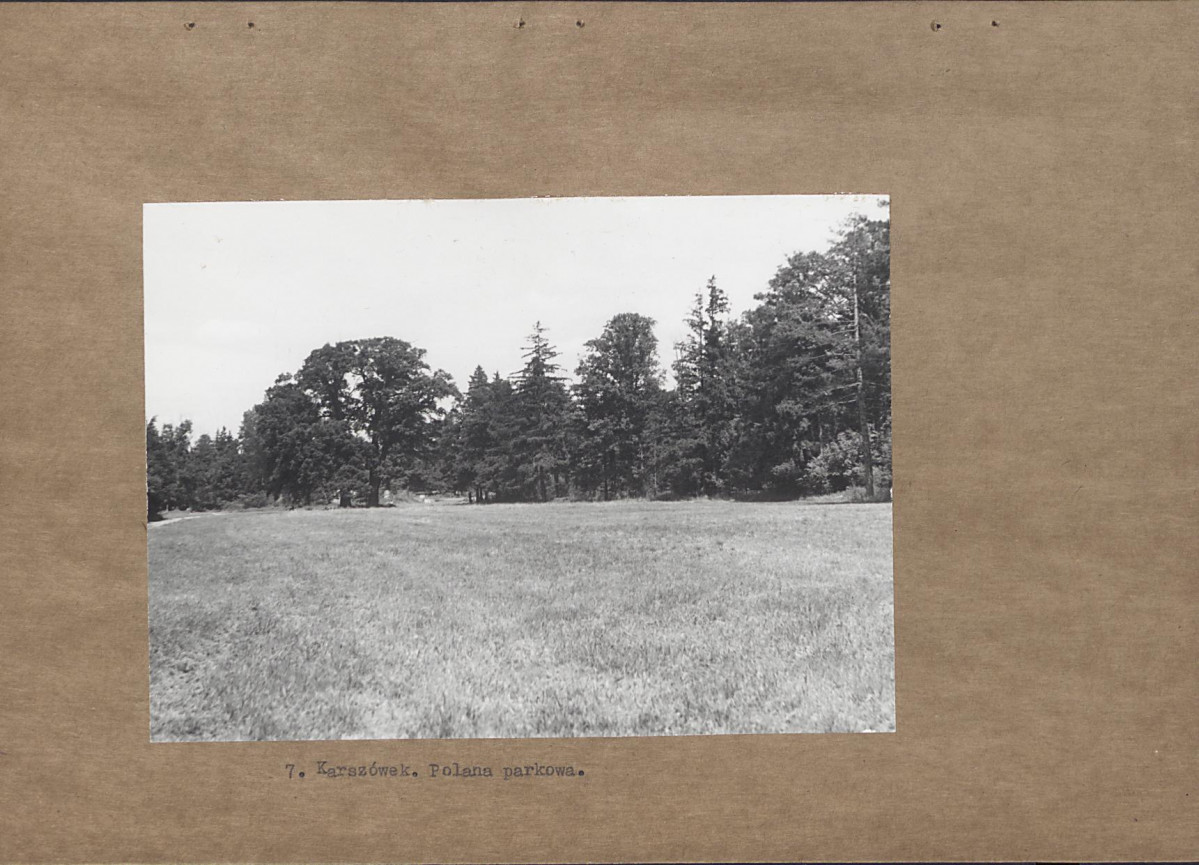 Ewidencja parkowa, skan nr 20