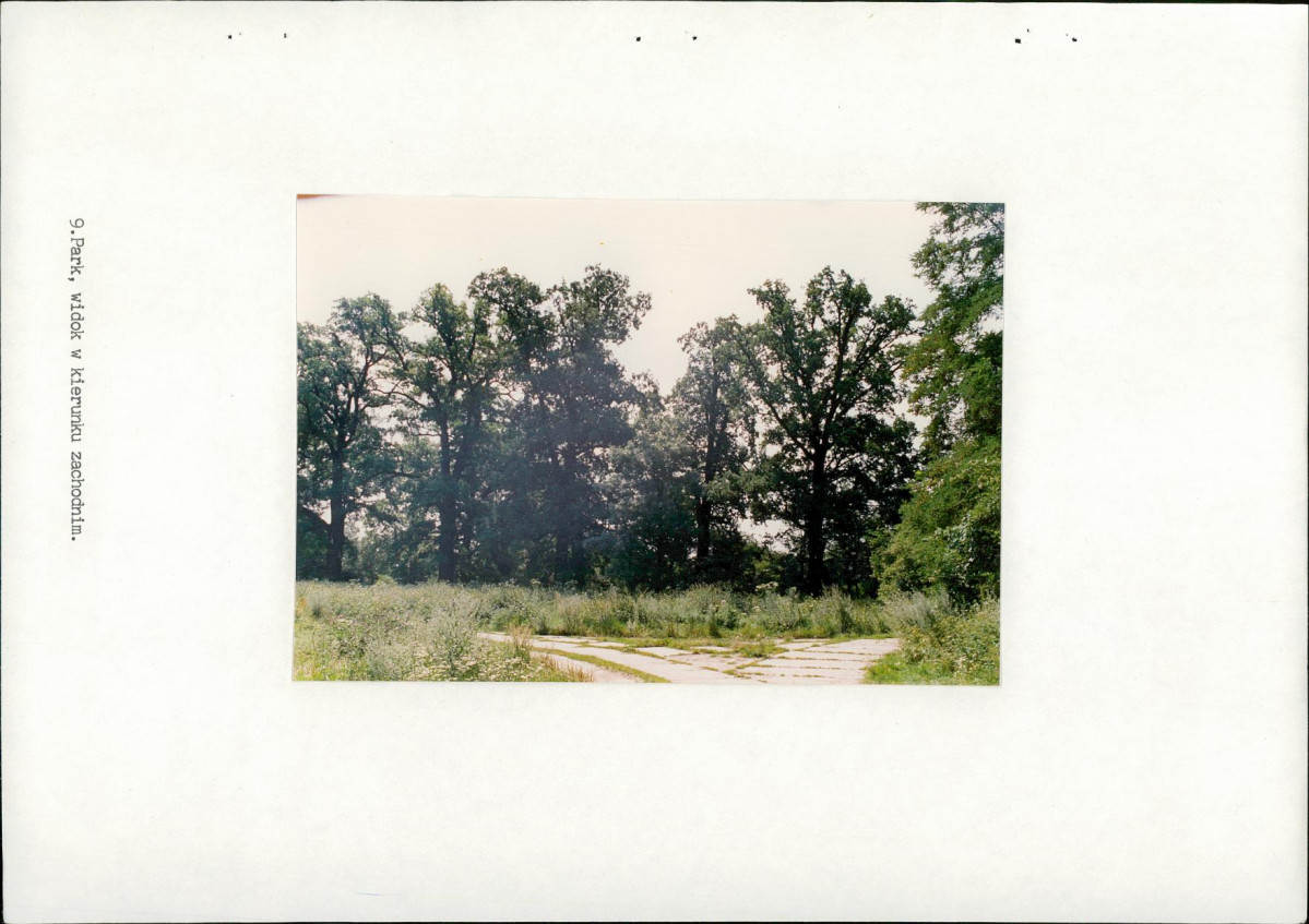 Ewidencja parkowa, skan nr 31