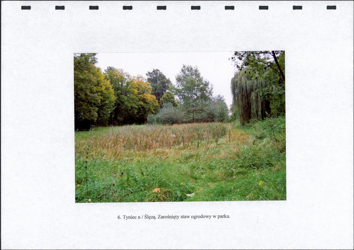 EP - Ewidencja parkowa, skan nr 28