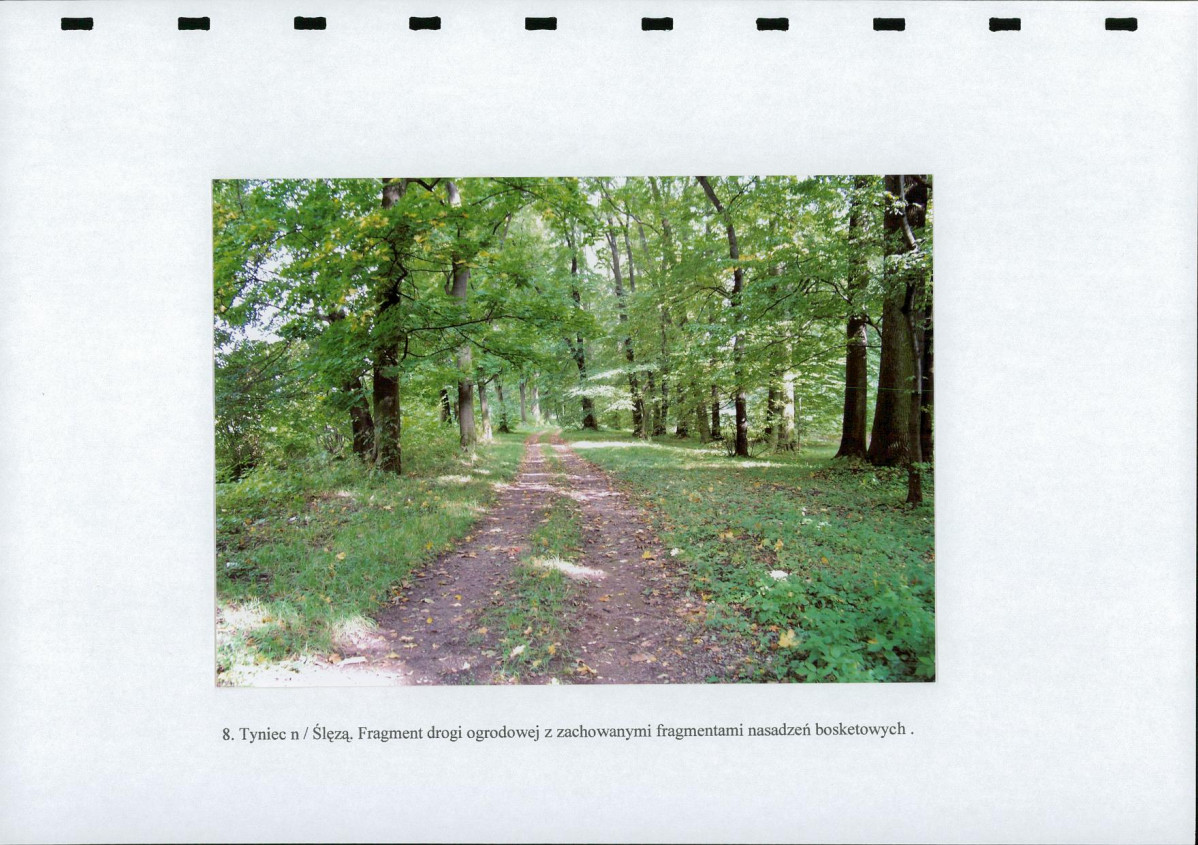 EP - Ewidencja parkowa, skan nr 30