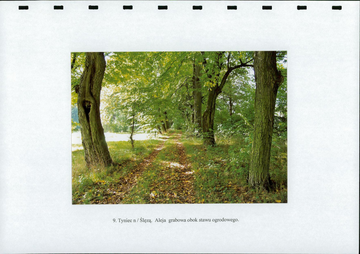 EP - Ewidencja parkowa, skan nr 31