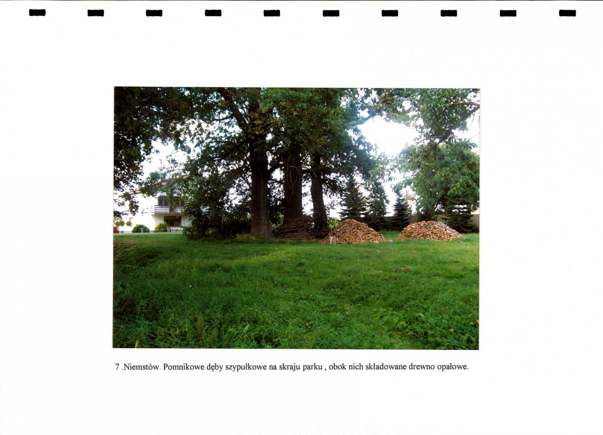 EP - Ewidencja parkowa, skan nr 25