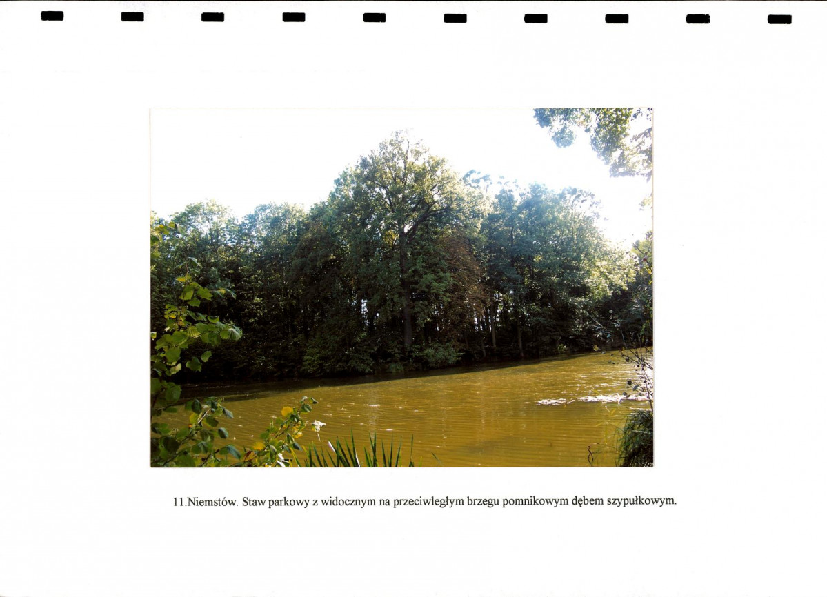 EP - Ewidencja parkowa, skan nr 29