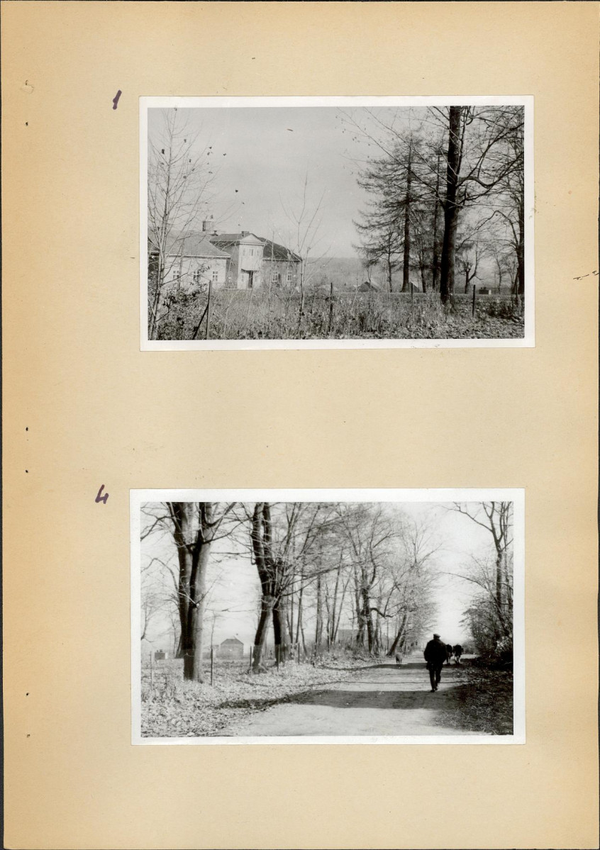 Ewidencja parkowa, skan nr 12