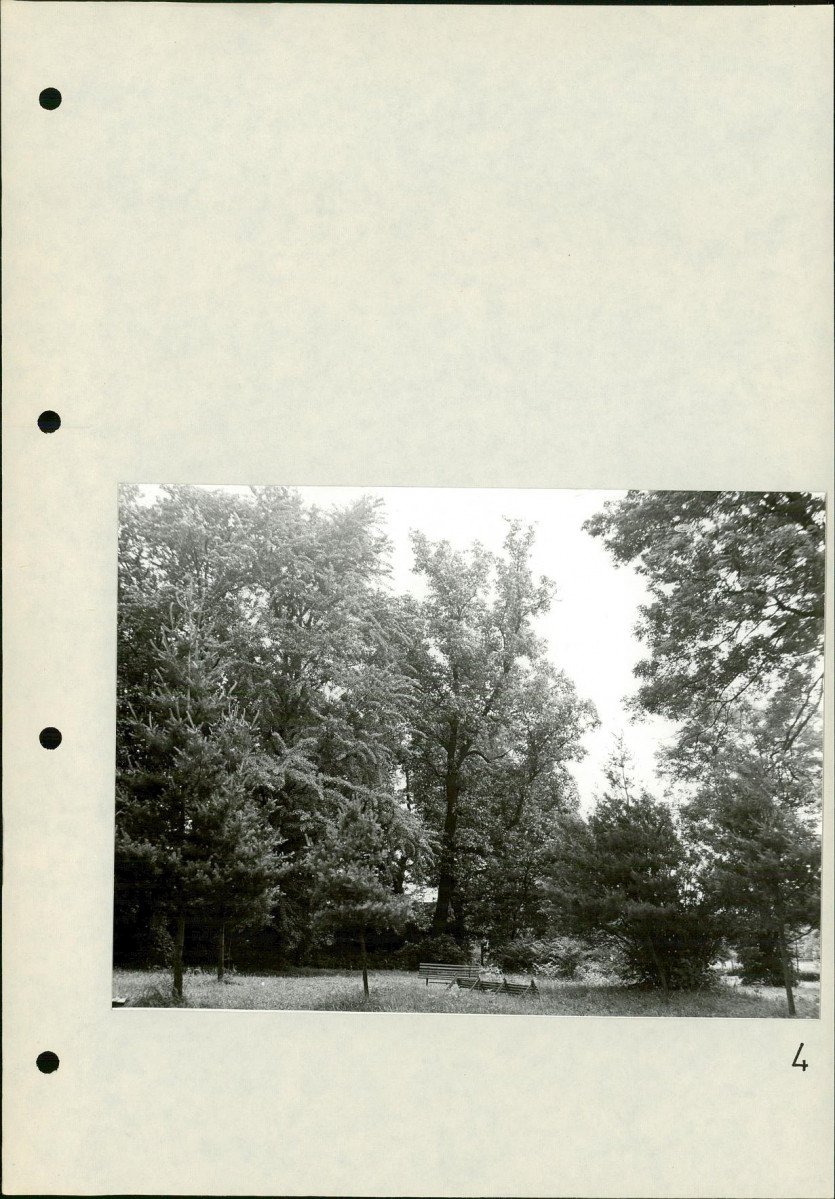 Ewidencja parkowa, skan nr 27