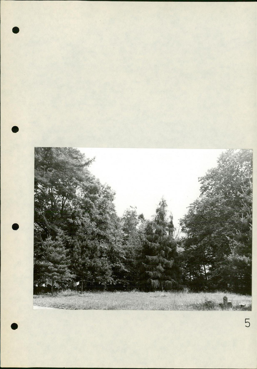 Ewidencja parkowa, skan nr 28