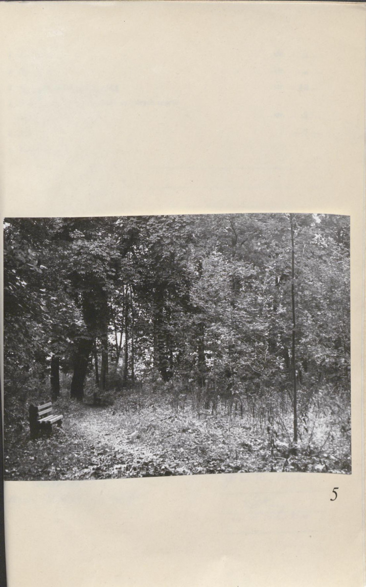 Ewidencja parkowa, skan nr 27