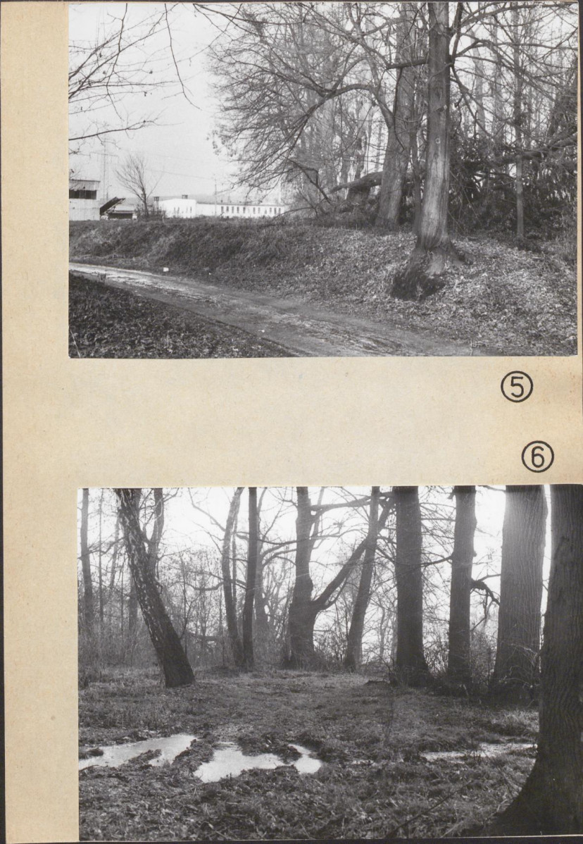 Ewidencja parkowa, skan nr 38