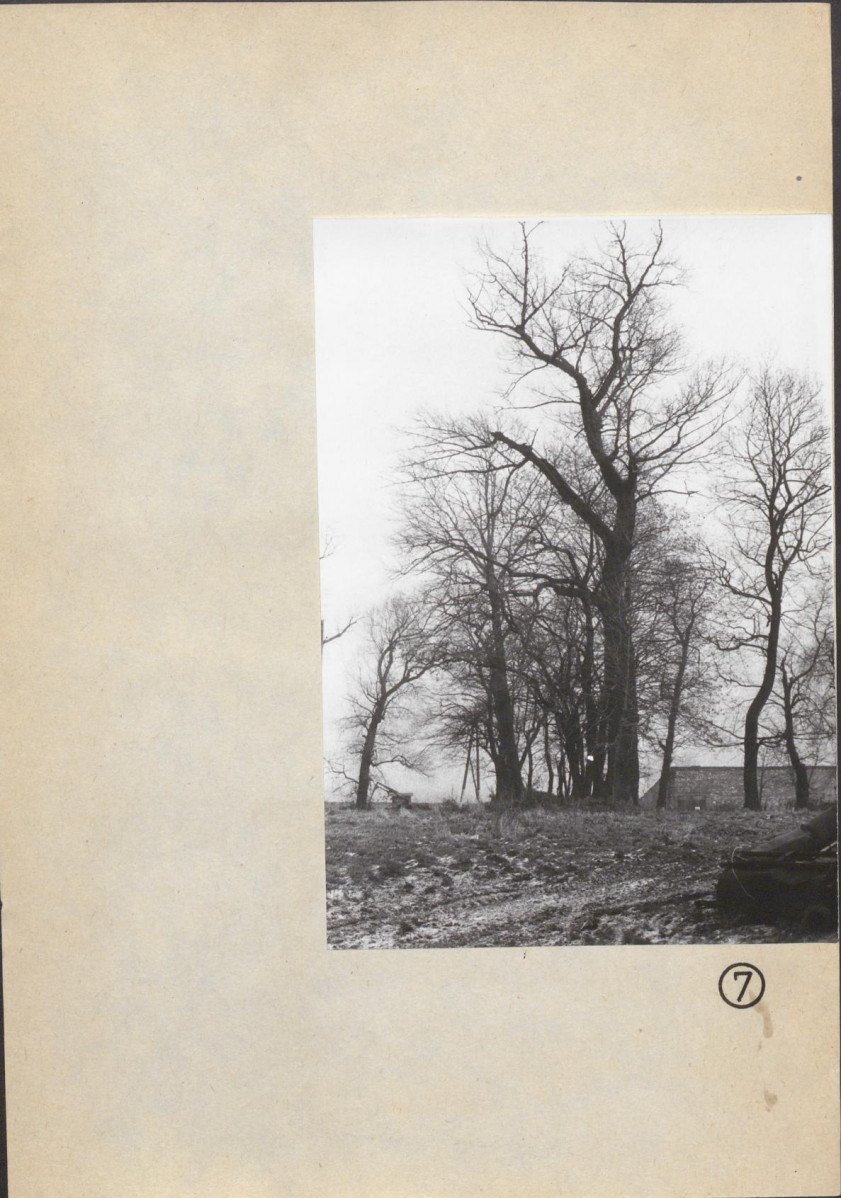 Ewidencja parkowa, skan nr 39