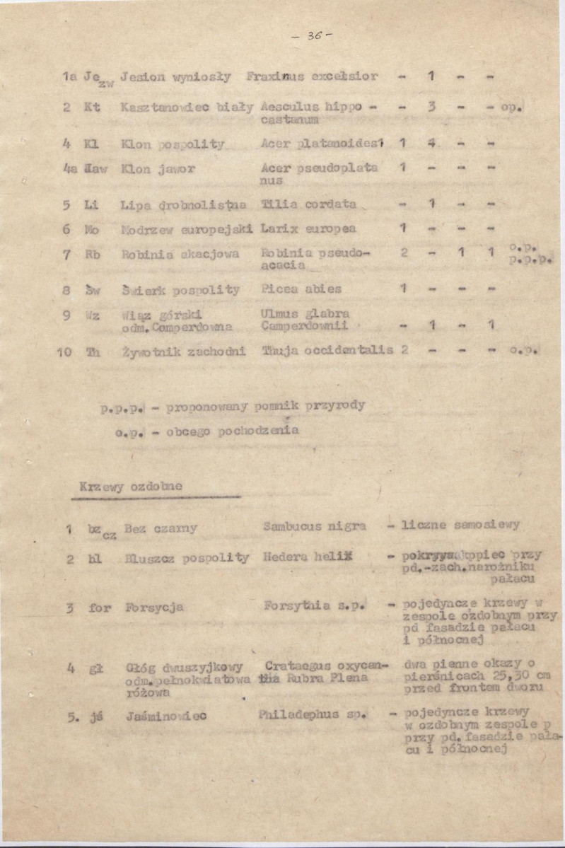 Ewidencja parkowa, skan nr 49