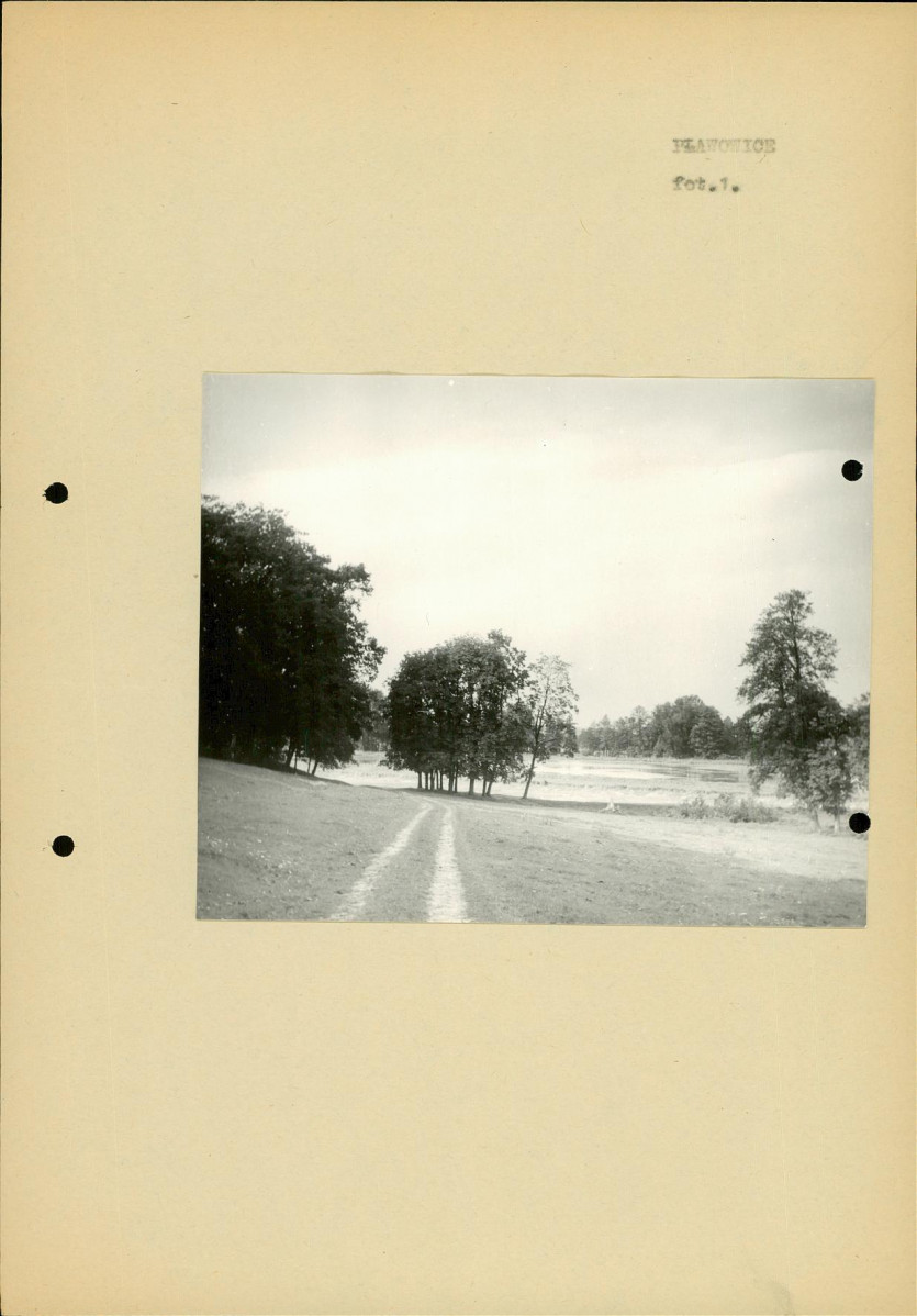 Ewidencja parkowa, skan nr 14