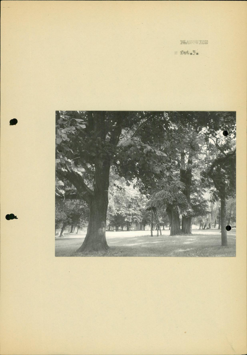 Ewidencja parkowa, skan nr 16