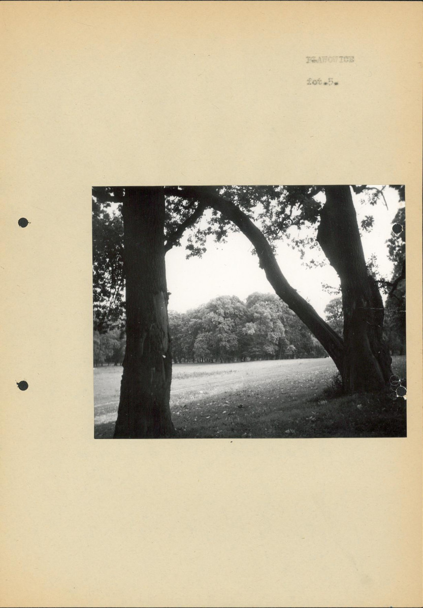 Ewidencja parkowa, skan nr 18