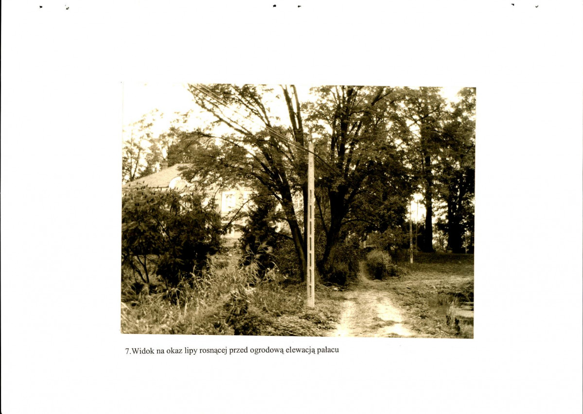 EP - Ewidencja parkowa, skan nr 71