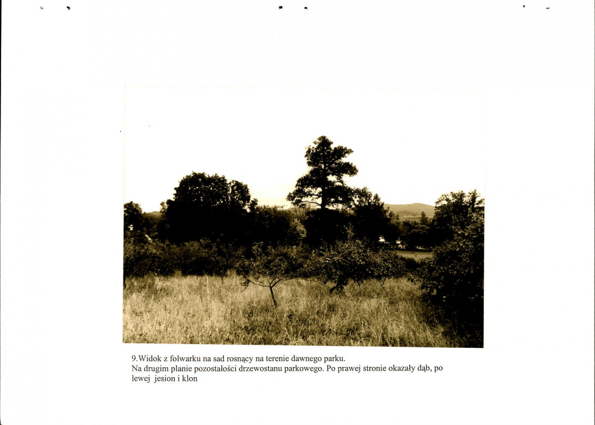 EP - Ewidencja parkowa, skan nr 73