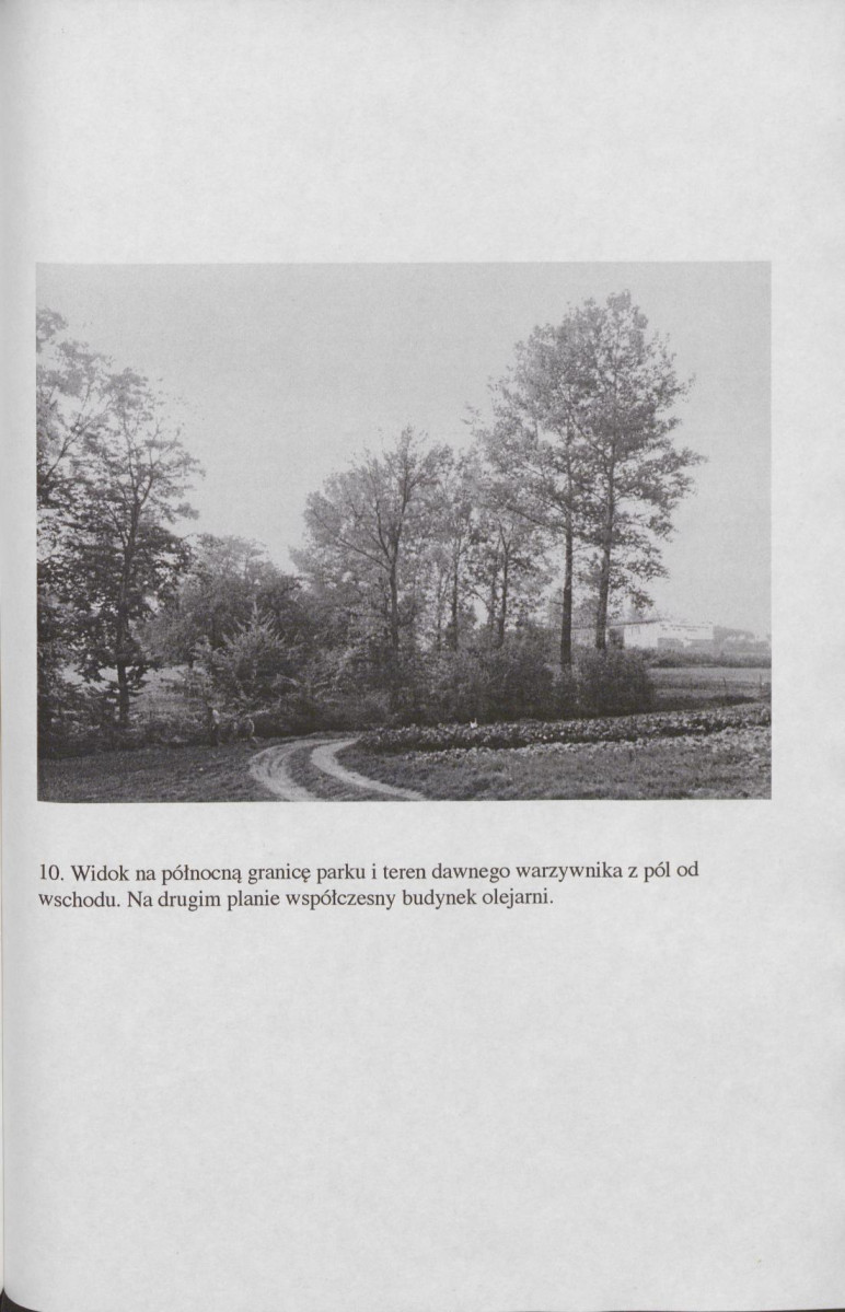 Ewidencja parkowa, skan nr 65