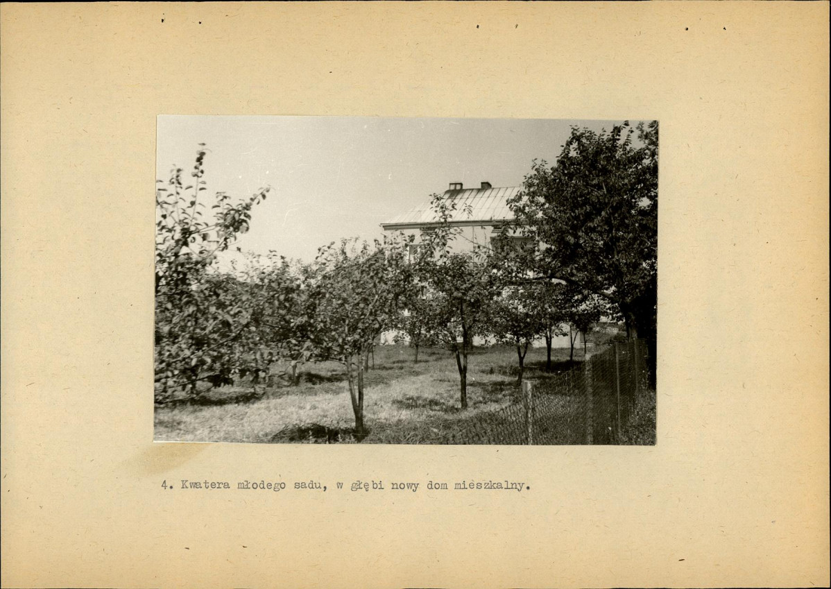 EP - Ewidencja parkowa, skan nr 28