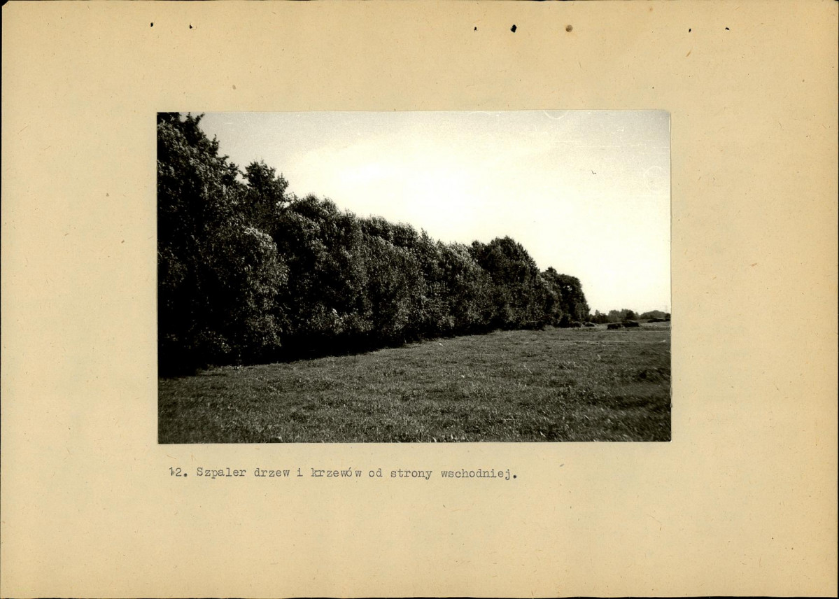 EP - Ewidencja parkowa, skan nr 36