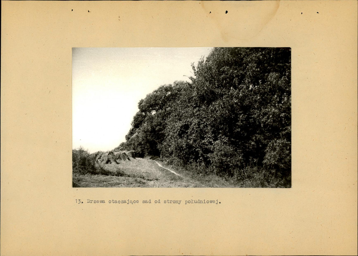 EP - Ewidencja parkowa, skan nr 37