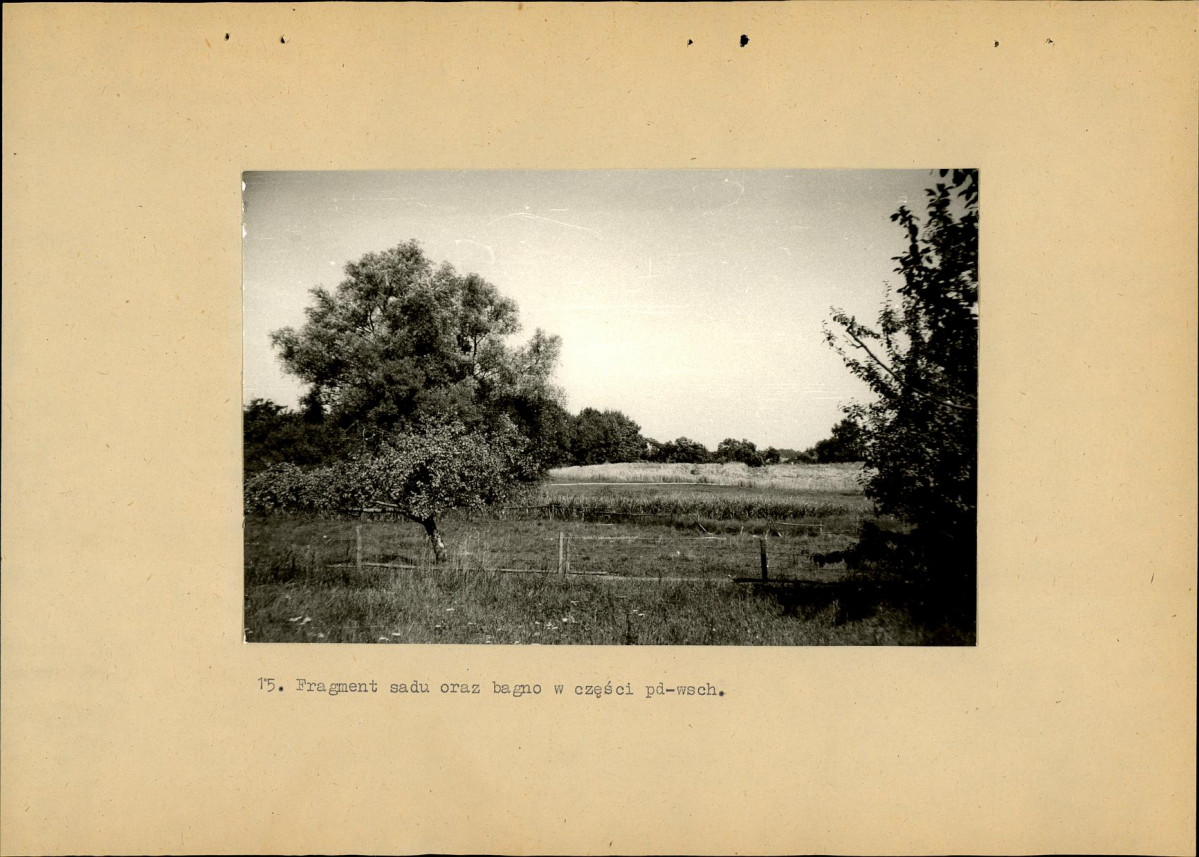 EP - Ewidencja parkowa, skan nr 39