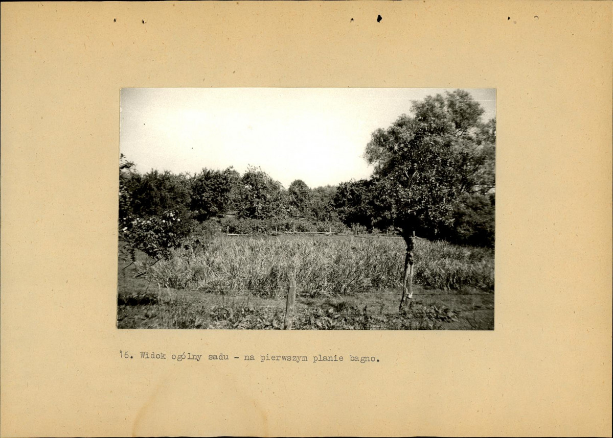 EP - Ewidencja parkowa, skan nr 40