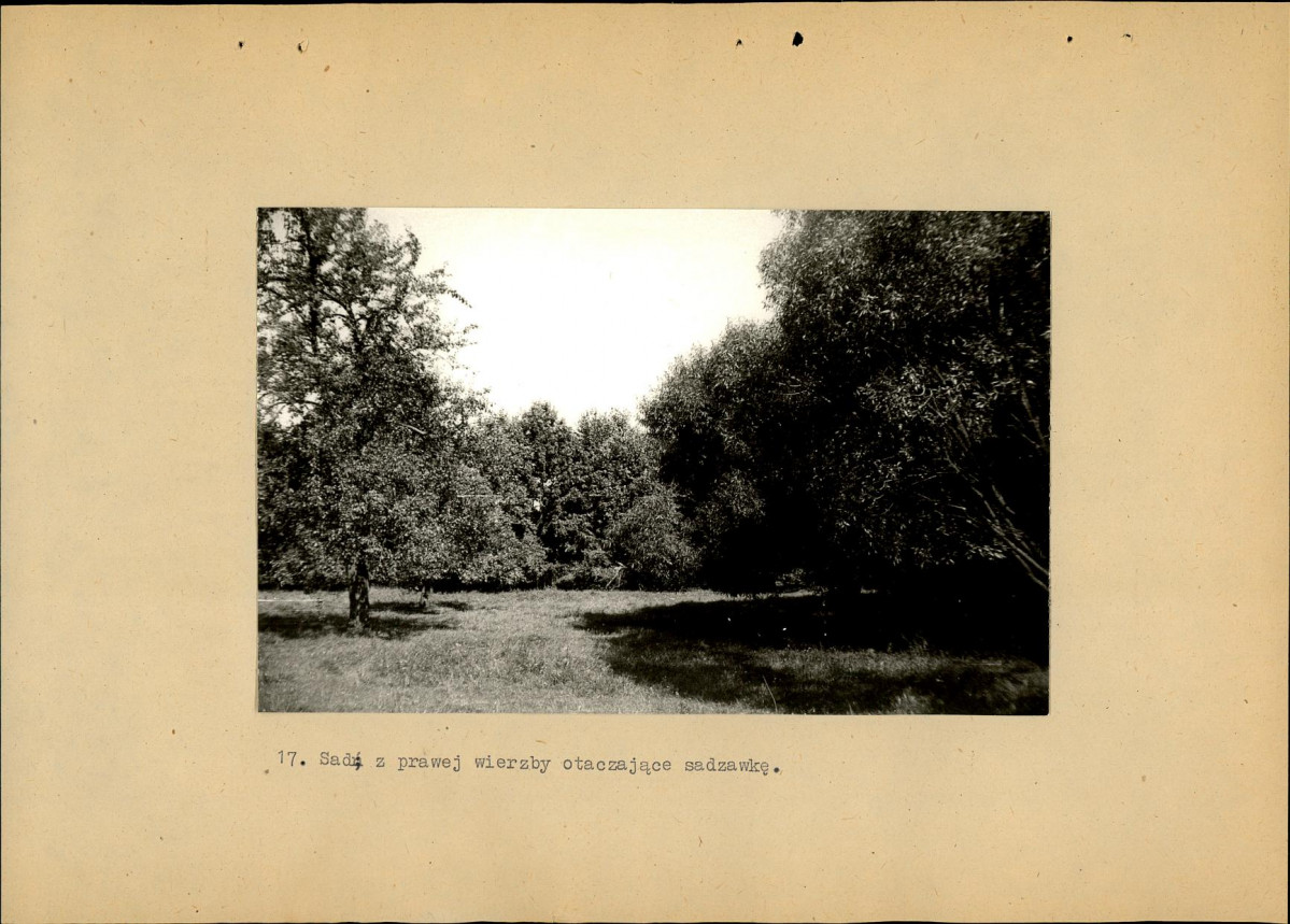 EP - Ewidencja parkowa, skan nr 41