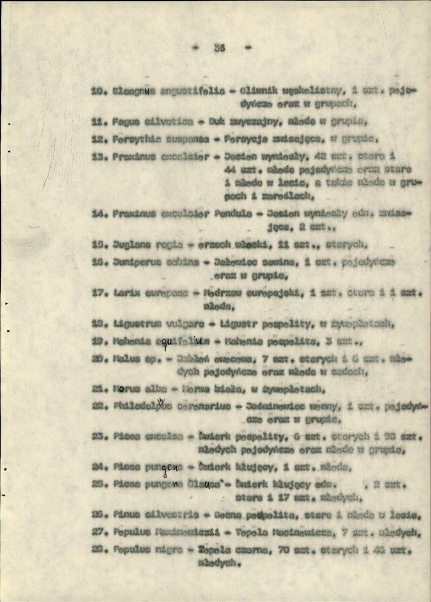 EP - Ewidencja parkowa, skan nr 41