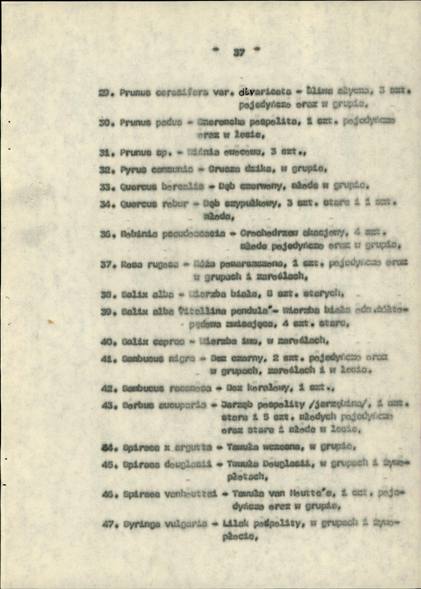 EP - Ewidencja parkowa, skan nr 42