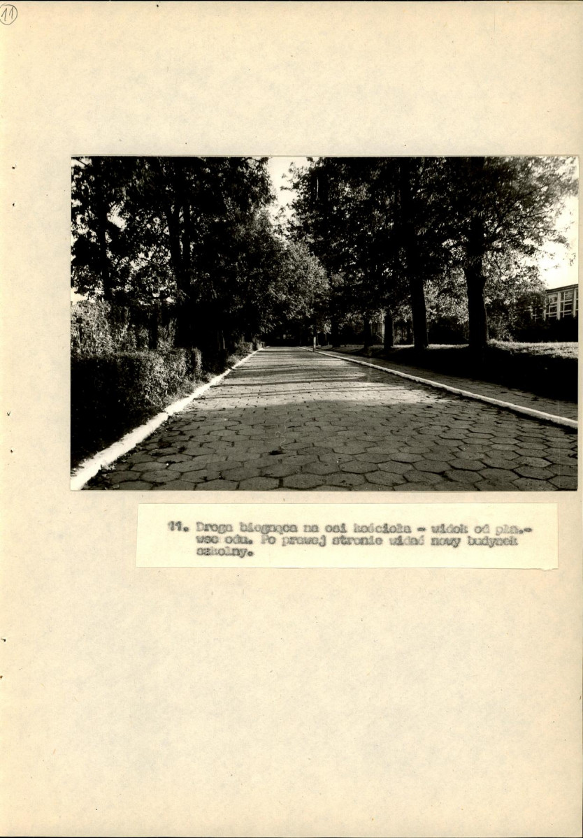 EP - Ewidencja parkowa, skan nr 62