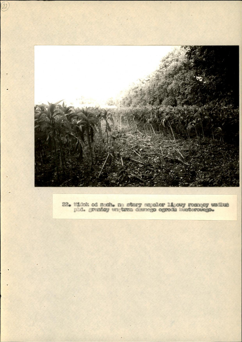 EP - Ewidencja parkowa, skan nr 73