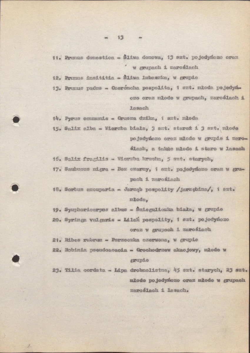 EP - Ewidencja parkowa, skan nr 18