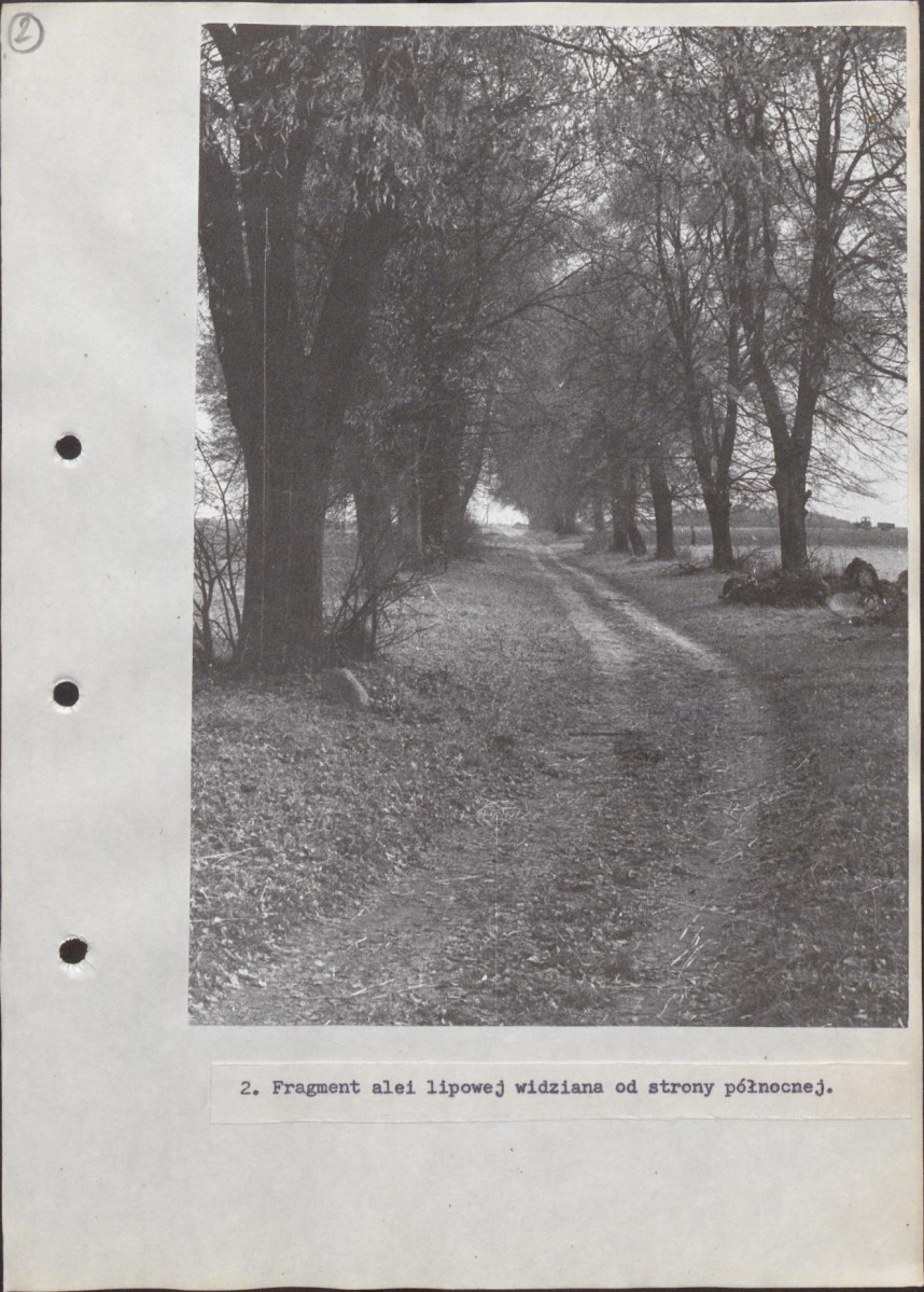 EP - Ewidencja parkowa, skan nr 26