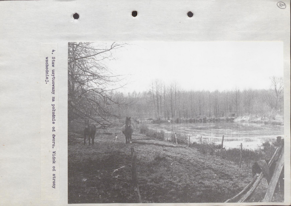 EP - Ewidencja parkowa, skan nr 28