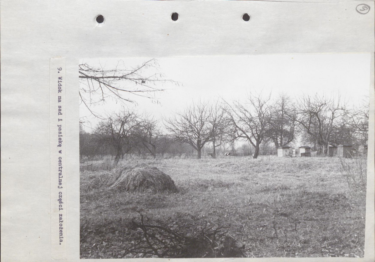 EP - Ewidencja parkowa, skan nr 33