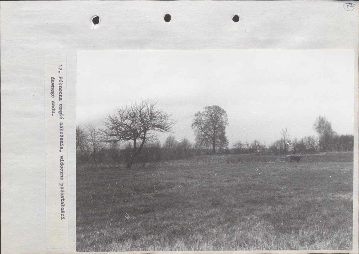 EP - Ewidencja parkowa, skan nr 36