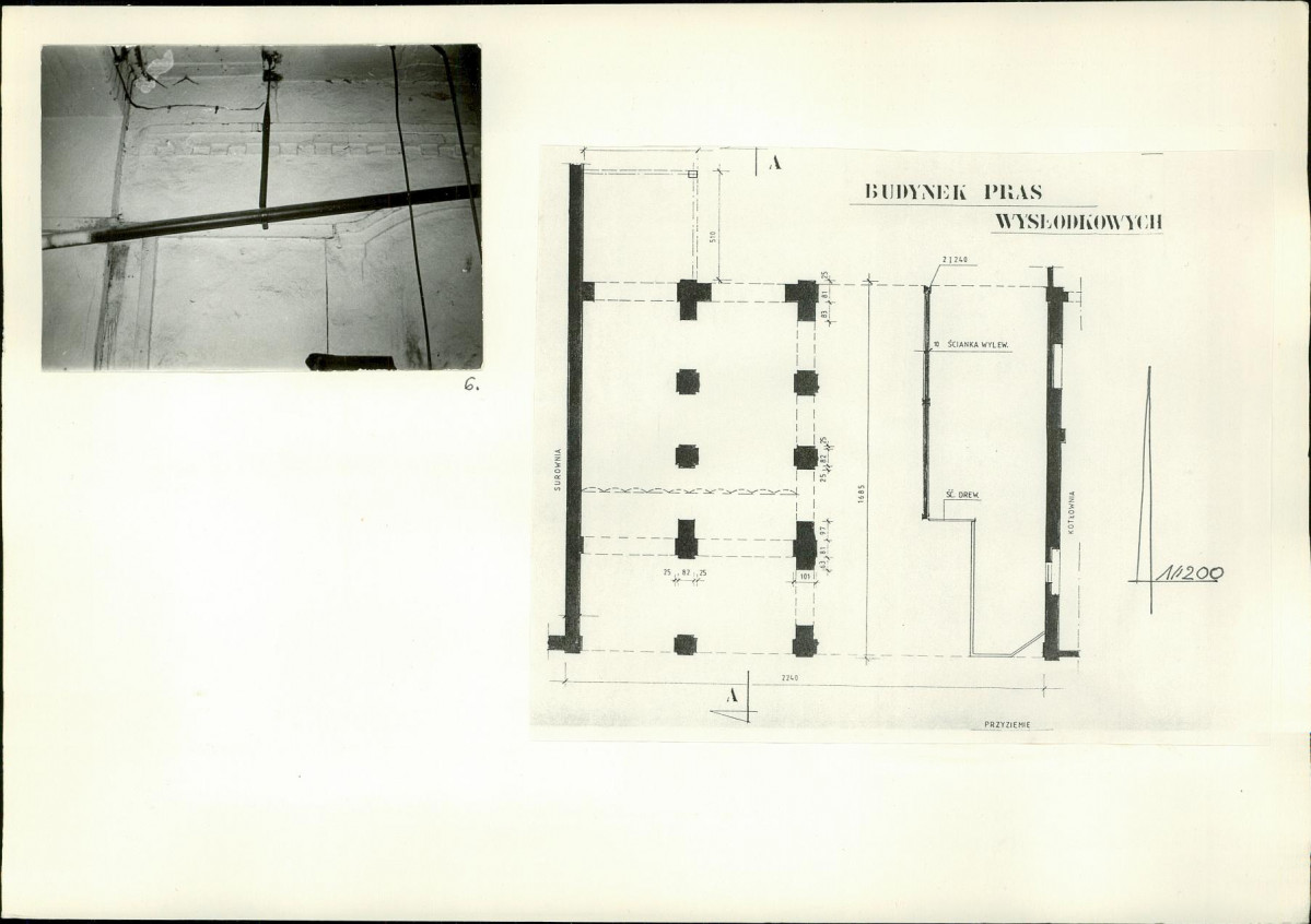 Karta biała, skan nr 6
