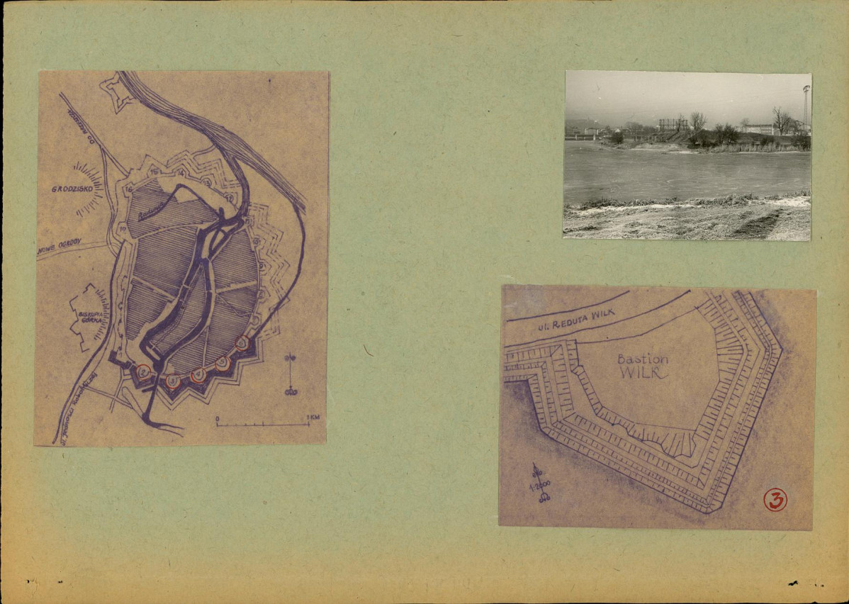 Karta zielona, skan nr 3