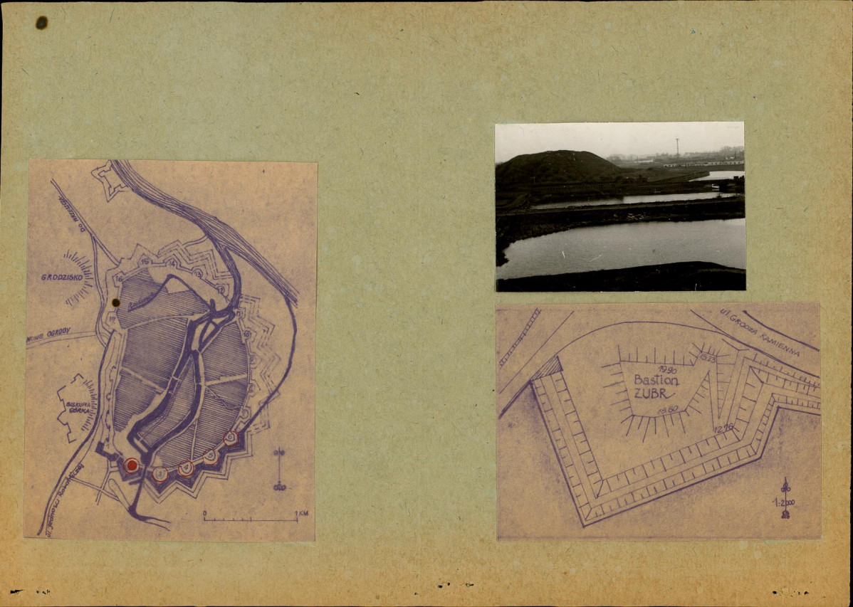 Karta zielona, skan nr 3