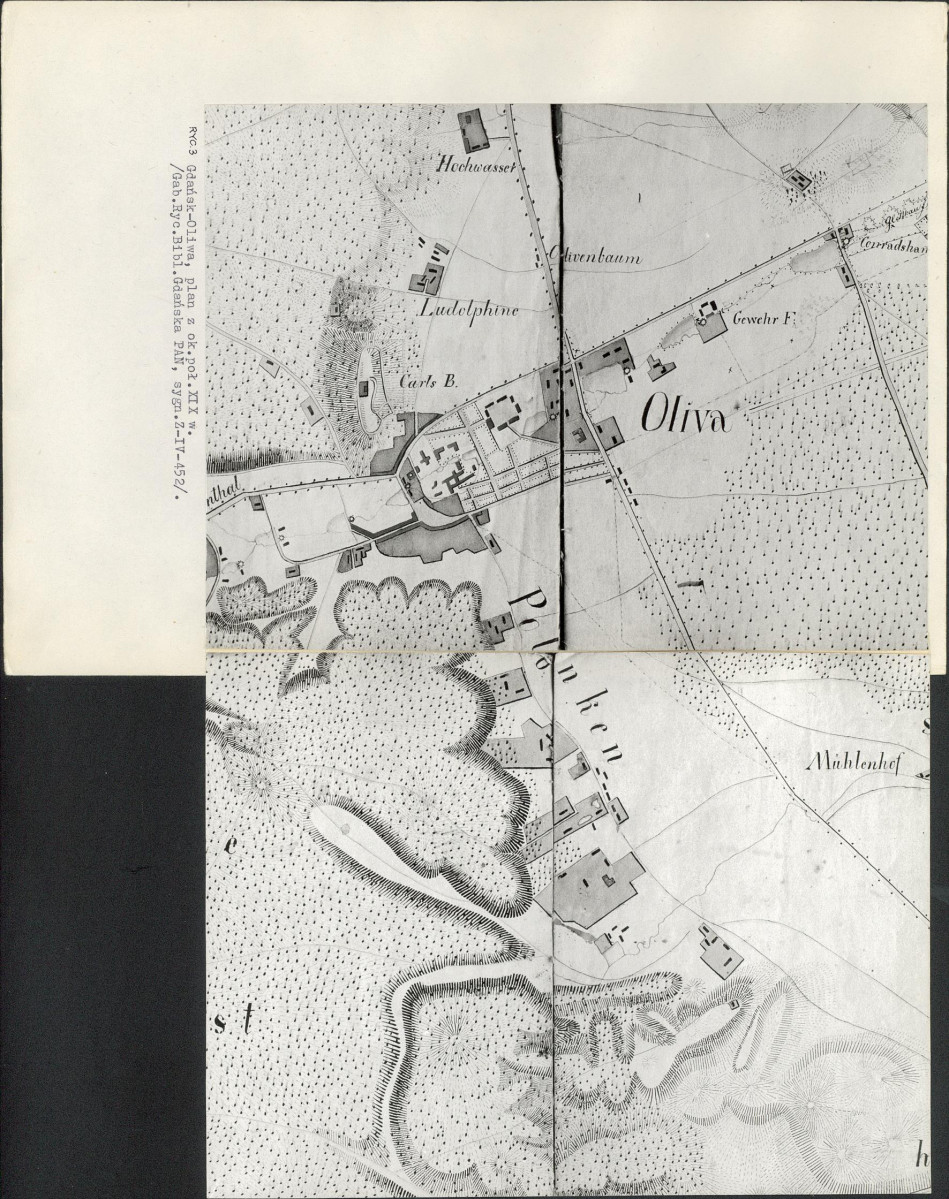 Ewidencja parkowa, skan nr 33