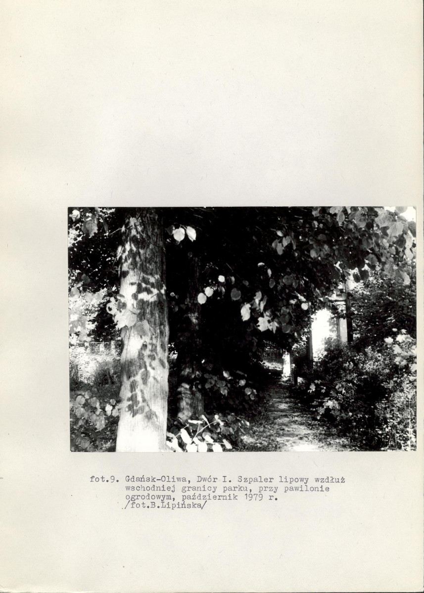 Ewidencja parkowa, skan nr 46