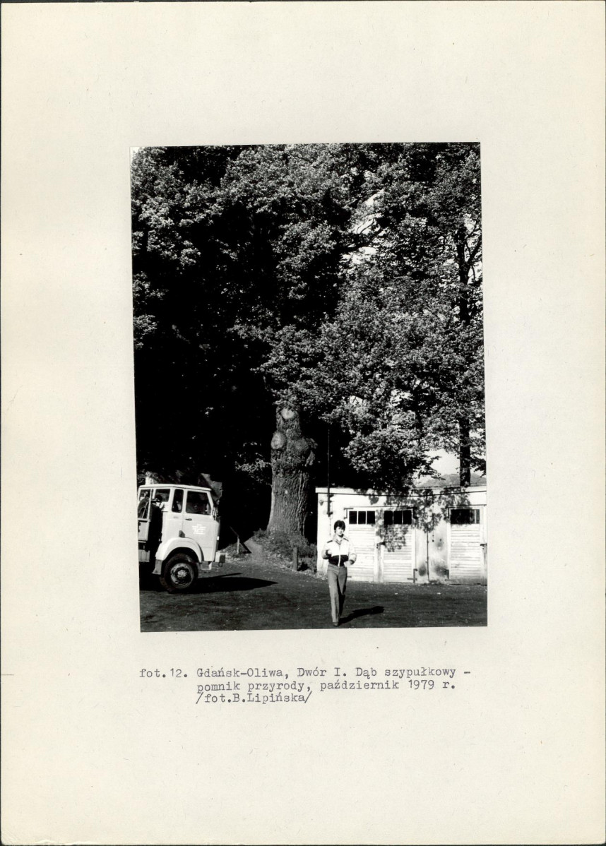 Ewidencja parkowa, skan nr 49