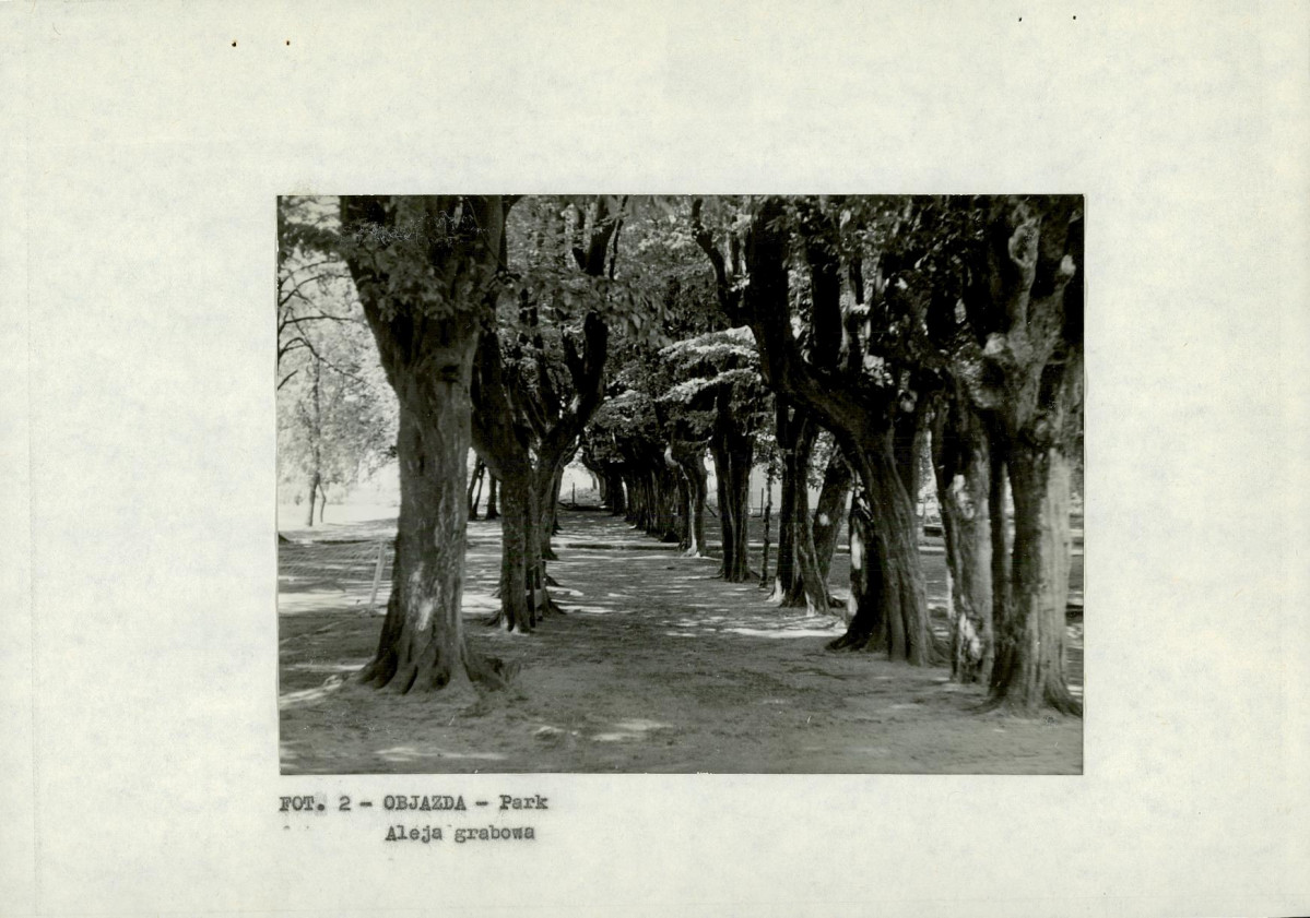 EP - Ewidencja parkowa, skan nr 13