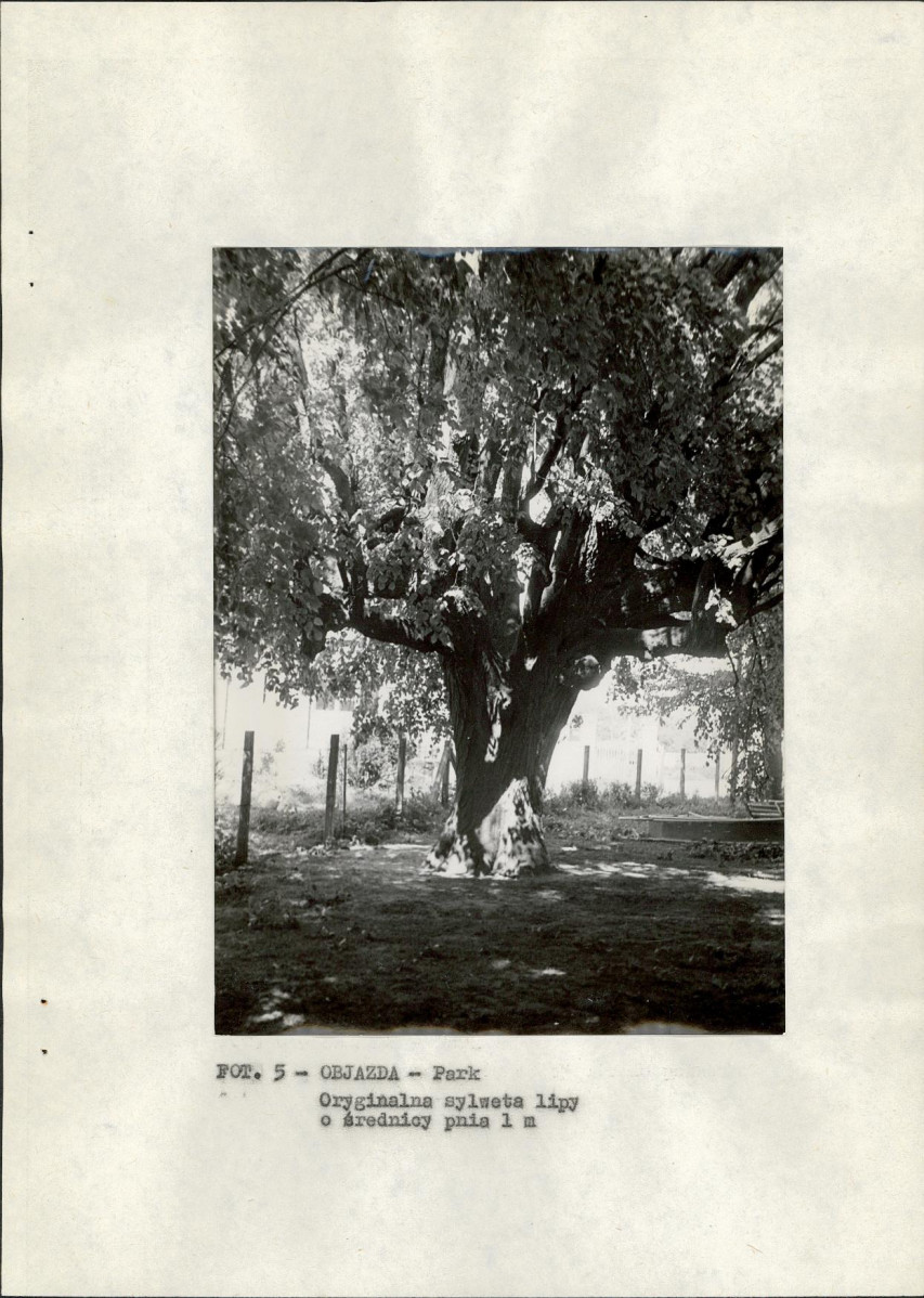 EP - Ewidencja parkowa, skan nr 16