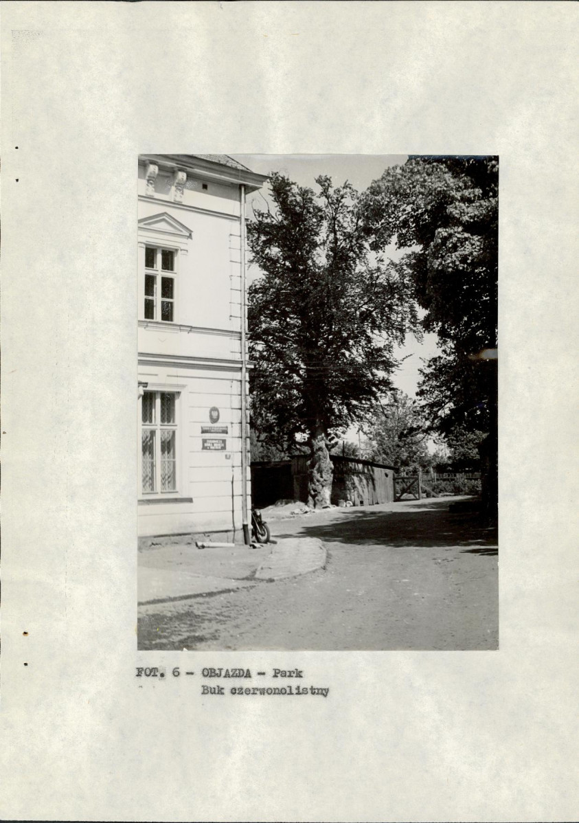 EP - Ewidencja parkowa, skan nr 17