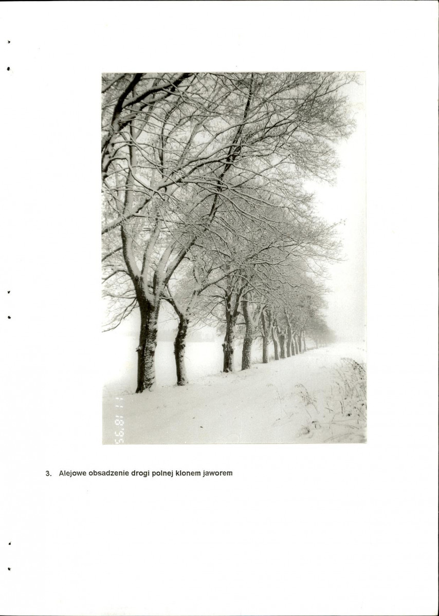 EP - Ewidencja parkowa, skan nr 23