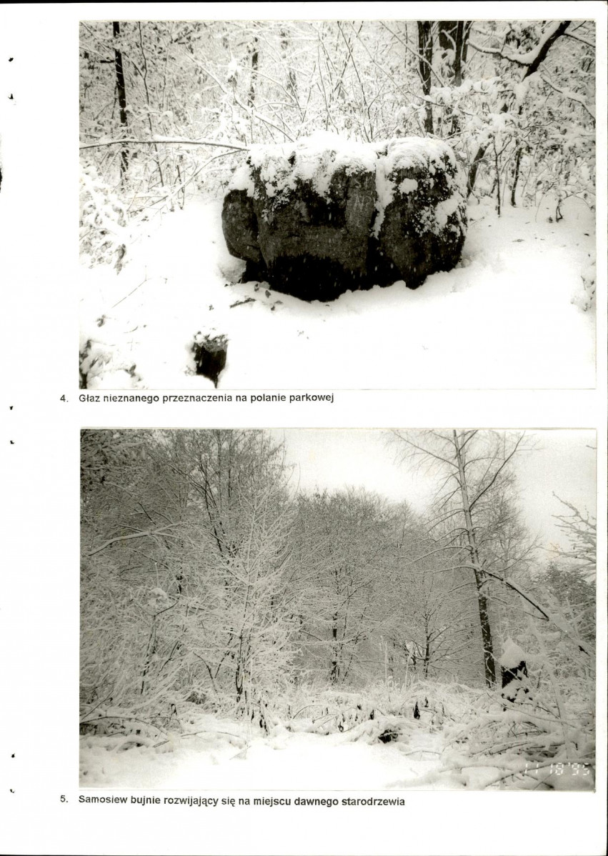 EP - Ewidencja parkowa, skan nr 24