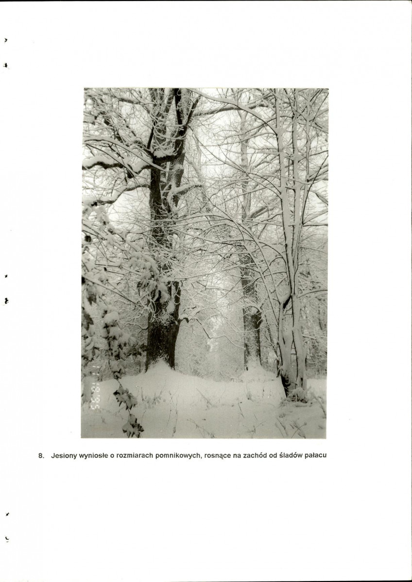 EP - Ewidencja parkowa, skan nr 27